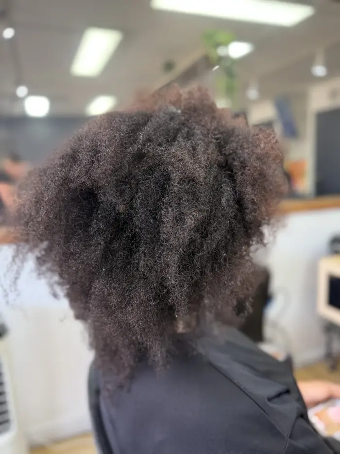 Después del Alisado Discovery